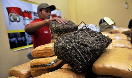   Petugas kepolisian sektor Cilandak menunjukan barang bukti dan tersangka pada rilis tindak pidana menjual dan mengedarkan narkotika jenis Ganja di Polsek Cilandak, Jakarta Selatan, Senin (10/6).  (Republika/Prayogi)