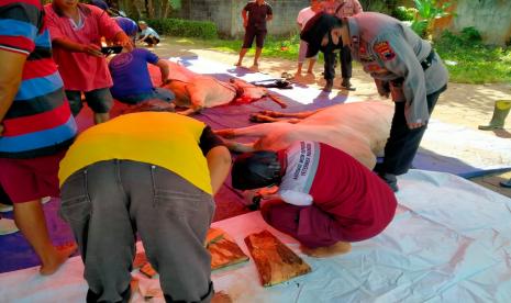 Petugas lapangan dari Dinas Pertanian dan Pangan Kebumen melakukan monitoring penyembelihan hewan kurban. 