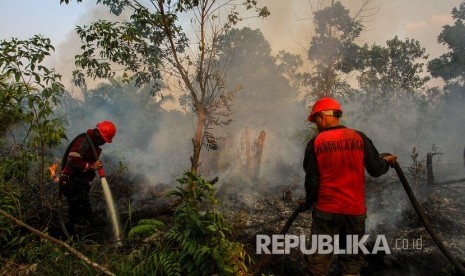 Kebakaran lahan (ilustrasi)