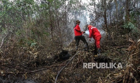 Petugas Manggala Agni menyemprotkan air ke lahan gambut yang terbakar, di Pekanbaru, Riau, Rabu (21/2).