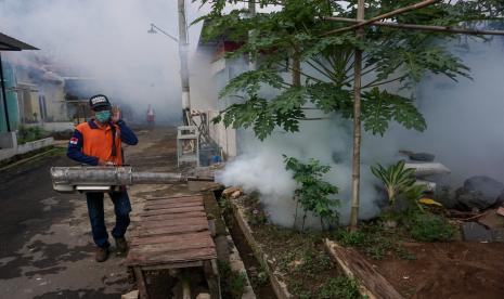 Dinkes Tulungagung Galakkan Pengasapan di Lokasi Endemis DBD (ilustrasi).