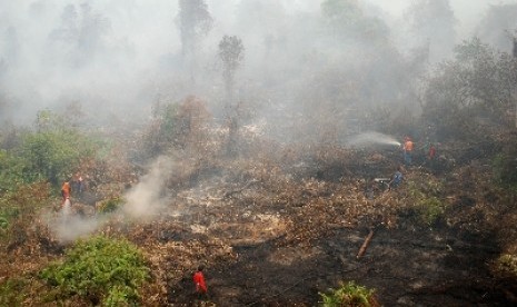 Petugas memadamkam api kawasan hutan dan lahan gambut di Rimbo Panjang, Kampar, Riau.