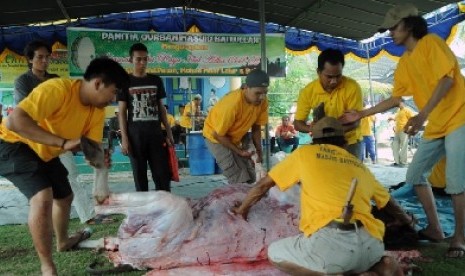 Petugas memotong sapi kurban di Masjid Besar Baitullah di Kelurahan Bukit Lama, Palembang, Kamis (24/9).