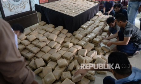  Petugas menata barang bukti ganja saat gelar kasus distribusi narkoba jenis ganja di Direktorat Tindak Pidana Narkoba Mabes Polri, Jakarta, Selasa (24/5). (Republika/Yasin Habibi)