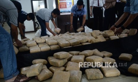  Petugas menata barang bukti ganja saat gelar kasus distribusi narkoba jenis ganja di Direktorat Tindak Pidana Narkoba Mabes Polri, Jakarta, Selasa (24/5). (Republika/Yasin Habibi)