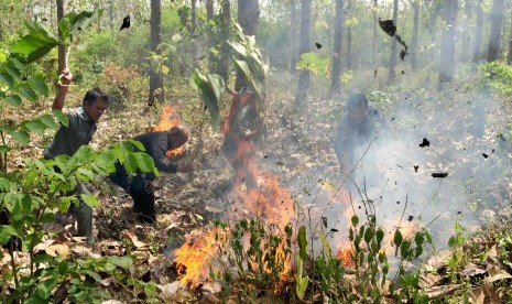 Petugas mencoba memadamkan api ketika terjadi kebakaran hutan jati di Desa Balapulang, Kabupaten Tegal, Jawa Tengah, Rabu (29/7). 