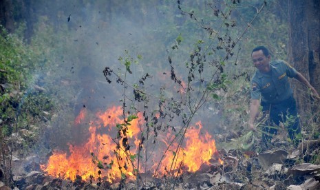 Petugas mencoba memadamkan api ketika terjadi kebakaran hutan jati di Desa Balapulang, Kabupaten Tegal, Jawa Tengah, Rabu (29/7). 