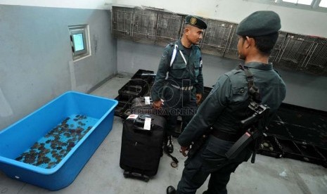  Balai Besar Karantina Pertanian Soekarno Hatta, Cengkareng Tangerang, Banten. Badan Karantina Pertanian telah menyusun langkah untuk mencegah penyebaran virus corona.