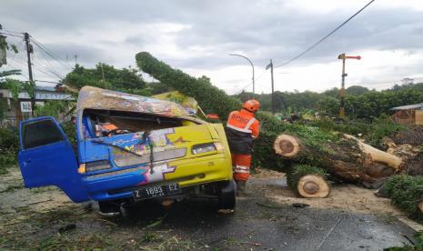 Pohon Tumbang Timpa Mobil di Tasikmalaya, Satu Orang Terluka