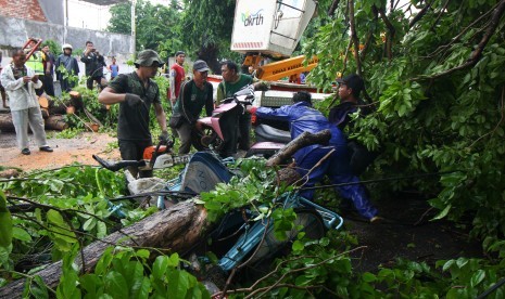 Ilustrasi pohon tumbang menimpa sepeda motor di Surabaya, Jawa Timur.