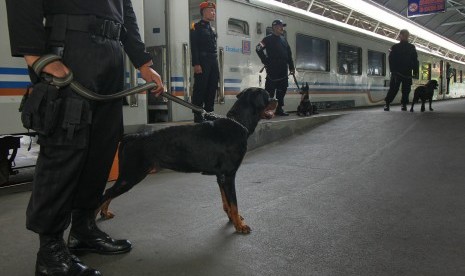 Petugas menggunakan anjing pelacak berjaga di stasiun.