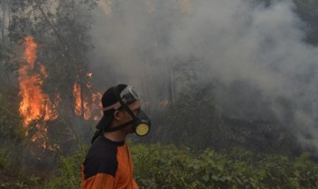 Petugas menggunakan masker ketika berusaha memadamkan api yang muncul di lahan gambut di sekitar Pulang Pisau, Kalteng, Selasa (27/10).