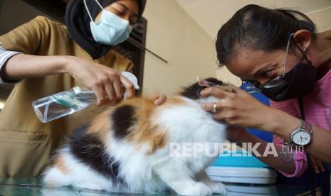 Petugas menyemprotkan alcohol spray ke badan kucing (Felis Catus) sebelum dilakukan penyuntikan vaksin rabies di UPT Puskeswan Ngantru, Tulungagung, Jawa Timur, Senin (13/9/2021). Vaksinasi rabies untuk hewan piaraan jenis kucing, anjing, monyet, kera dan musang itu digelar dalam rangkaian memperingati Hari Rabies se-Dunia (World Rabies Day) yang jatuh setiap 28 September.