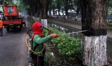 Petugas menyemprotkan insektisida untuk mencegah penyebaran ulat bulu.