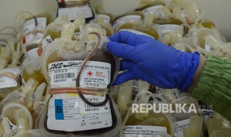  Petugas merapikan labu darah dari pendonor di Kantor Palang Merah Indonesia DKI Jakarta, Rabu (27/1).   (Republika/Raisan Al Farisi)