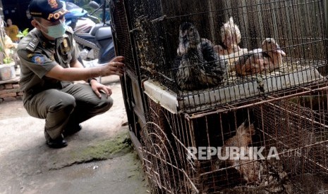 Petugas merazia unggas di kawasan Petogogan, Jakarta Selatan, Rabu (30/3).  (Republika/Yasin Habibi)