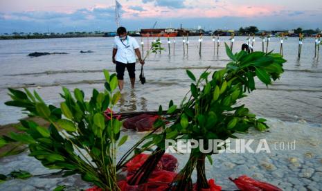 Petugas Pelabuhan Indonesia (Pelindo) IV menanam bibit mangrove di area Makassar New Port, Makassar, Sulawesi Selatan, Senin (16/8/2021). Aksi tanam mangrove dalam rangka memperingati HUT ke-76 Kemerdekaan RI tersebut bertujuan untuk melindungi habitat laut dan menjaga keseimbangan ekosistem di sekitar area Makassar New Port.