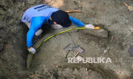 Petugas pelestari Situs Patiayam mengukur fosil gading gajah purba (Stegodon Trigenochepalus) saat penggalian fosil di Pegunungan Patiayam, Desa Terban, Jekulo, Kudus, Jawa Tengah, Jumat (17/12/2021). Sebanyak satu fosil gading gajah purba yang ditemukan warga di pinggir sungai Kancilan itu mempunyai panjang 1,5 meter. 