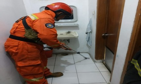 Petugas pemadam kebakaran Kabupaten Bandung mengevakuasi ulang jenis weling dari rumah warga