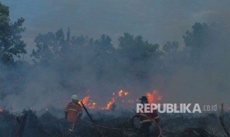 Land and forest fires in Riau Province. (File photo)