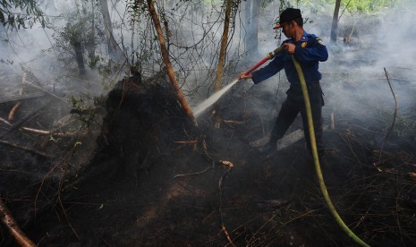 Lahan gambut yang terbakar 