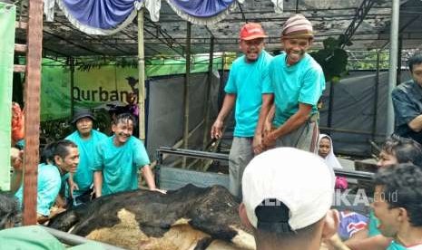 Petugas pemotongan hewan kurban di Masjid Agung Sunda Kelapa, Jakarta Pusat