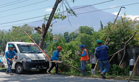 Petugas PLN memangkas dahan pohon yang dekat dengan kabel listrik saat pemeliharaan rutin jaringan listrik di Traji, Parakan, Temanggung, Jateng, Kamis (30/9/2021). Pemeliharaan dan perawatn rutin jaringan listrik sebagai tindakan preventif PLN guna menghindari gangguan dan untuk menjamin kelancaran pasokan listrik ke masyarakat.