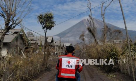 Petugas PMI menyusuri pemukiman warga saat proses pencarian korban guguran awan panas Gunung Semeru di Dusun Curah Koboan, Pronojiwo, Lumajang, Jawa Timur, Rabu (8/12/2021). Pencarian korban guguran awan panas Gunung Semeru difokuskan di sejumlah titik di antaranya Kajar Kuning, Curah Kobokan dan Gladak Perak.