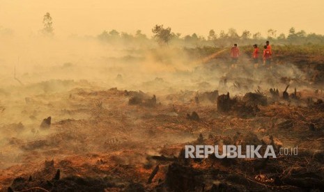 Satuan Tugas Penanggulangan Kebakaran Hutan dan Lahan Provinsi Jambi mendapatkan bantuan empat helikopter untuk mendukung upaya mengatasi masalah kebakaran hutan dan lahan. 