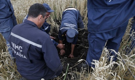 Petugas sedang mencari tubuh korban pesawat Malaysia Airlines MH17 yang jatuh karena diduga ditembak