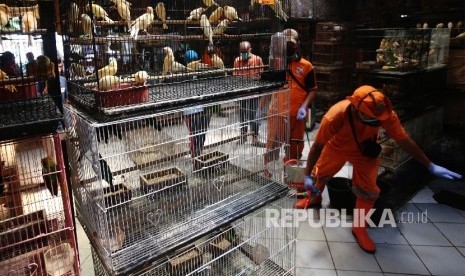  Petugas Sudin Kelautan Perikanan dan Ketahanan Pangan (KPKP) Jaktim menyemprotkan desinfektan pada burung di Pasar Pramuka, Jakarta Timur, Jumat (24/3).