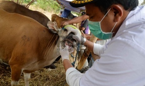 Petugas Suku Dinas Pertanian dan Peternakan Jakarta Pusat melakukan pemeriksaan kesehatan hewan kurban di kawasan Tanah Abang, Kamis (10/9).   (Republika/Yasin Habibi)