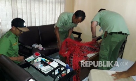 Petugas tengah memeriksa kondisi kesehatan macan tutul yang berhasil dievakuasi dari kolong rumah warga di Kampung Perbawati/Desa Perbawati Kecamatan/Kabupaten Sukabumi Kamis (17/5).