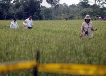 Petugas Badan Pengawas Tenaga Nuklir (Bapetan) dan Badan Tenaga Nuklir Nasional (Batan) melakukan penelitian lokasi crop circle di Jogotirto, Berbah, Sleman, Selasa (25/1).