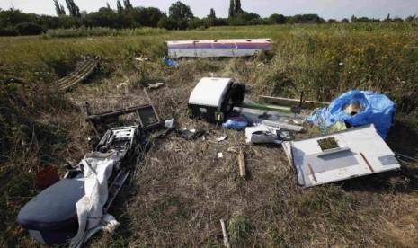 Pieces of the wreckage are seen at a crash site of the Malaysia Airlines Flight MH17 near the village of Petropavlivka (Petropavlovka), Donetsk region July 24, 2014.