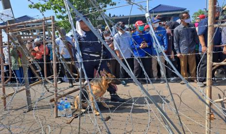 Pihak Alzaytun kembali mengerahkan anjing penjaganya dalam pengamanan menyambut massa unjuk rasa, di depan pintu masuk Mahad Al-Zaytun, Kecamatan Gantar, Kabupaten Indramayu, Kamis (22/6/2023).