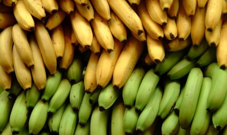 Pisang