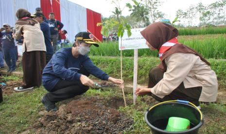 Ilustrasi penanaman bibit pohon.