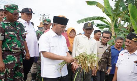 Pj Bupati Musi Banyuasin (Muba) Apriyadi mendengarkan langsung keluhan petani, (ilustrasi)