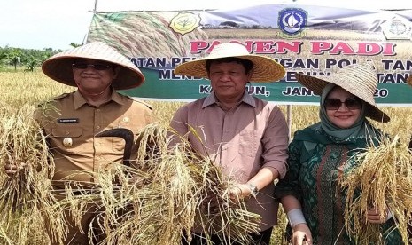 Plt Gubernur provinsi Kepulauan Riau Isdianto, berkesempatan menghadiri panen padi dalam rangka kegiatan pengembangan pola tanam untuk mendukung peningkatan IP di  Kecamatan Kundur Utara, Kabupaten Karimun, Senin (13/1).