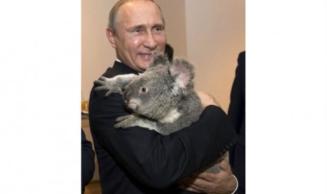 PM Rusia, Vladimir Putin, menggendong seekor koala saat tiba di Australia untuk pertemuan G20.