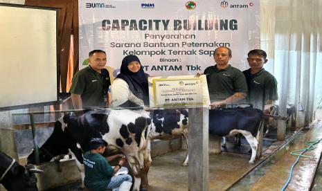 PNM dan ANTAM melakukan sinergi program dalam meningkatkan produktivitas dan populasi sapi perah di Bandung Barat.