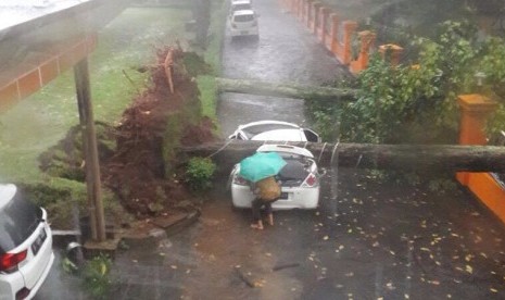 Pohon timbang menimpa mobil di wilayah sekitar Taman Mini Indonesia Indah, Jakarta, Jumat (11/11)