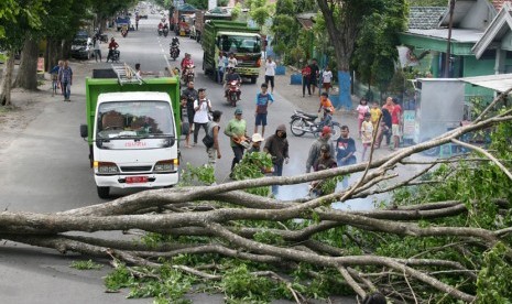 Pohon tumbang.   (ilustrasi)