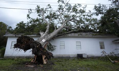 Pohon tumbang menimpa salah satu rumah warga di wilayah Texas akibat Badai Beryl.