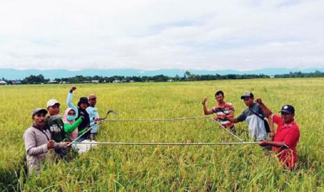 Polbangtan YoMa berkomitmen mendukung pengembangan petani milenial yang menjadi penentu ketersediaan pangan berkelanjutan, antara lain melalui kerjasama dengan Dinas Pertanian dan Pangan Kabupaten Kebumen di Provinsi Jawa Tengah berupa penumbuhan dan pendampingan petani milenial pada subsektor tanaman pangan.