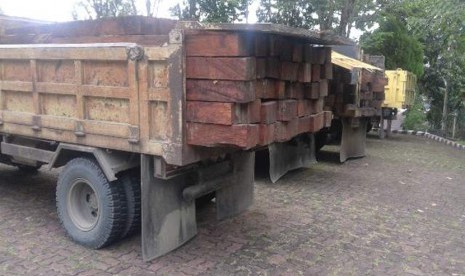 Polhut Papua Amankan 400 Batang Kayu Merbau Illegal