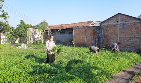 Polsek Cikarang membangun ketahanan pangan dengan penanaman sayur mayur dan budidaya ikan lele