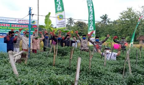 Pondok Pesantren (Ponpes) Darussalam di Kabupaten Boyolali, Jawa Tengah, yang merupakan Ponpes Binaan Kantor Perwakilan Bank Indonesia (KPw BI) Solo, melakukan panen cabai pada Selasa (9/3). Foto