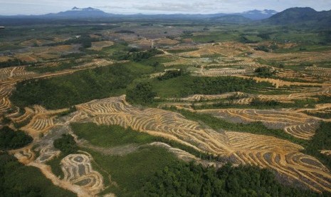 Potret udara hutan di Kapuas Hulu, Kalimantan Barat.